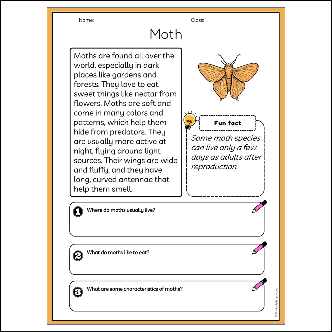 Moth | Reading Passage Comprehension Questions Writing Facts Worksheet