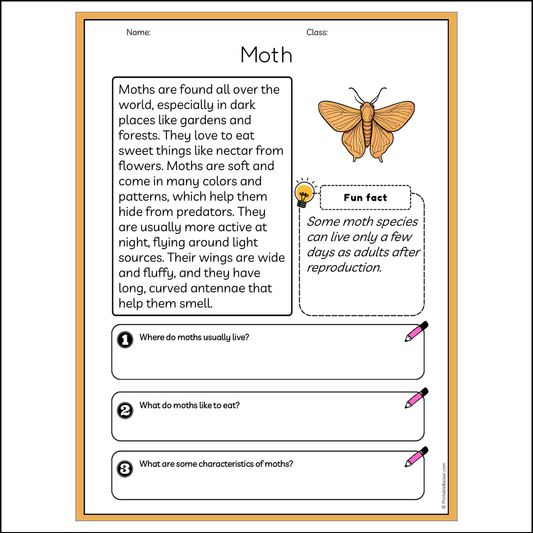 Moth | Reading Passage Comprehension Questions Writing Facts Worksheet