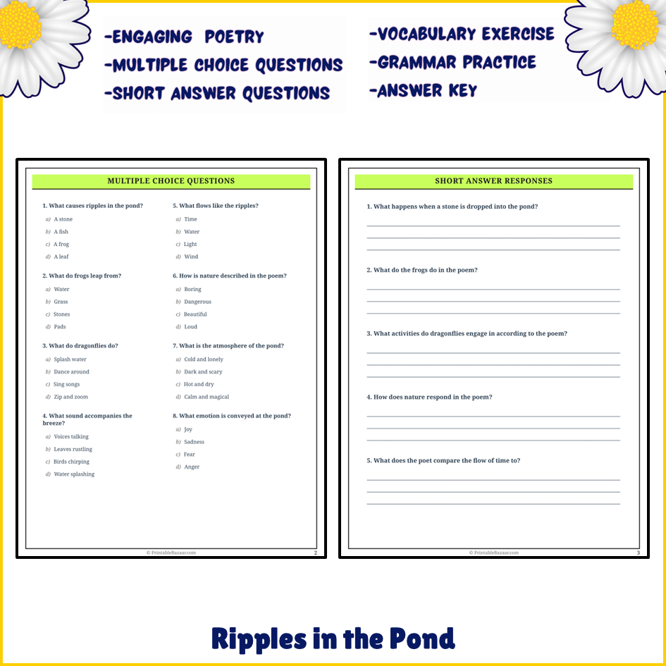 Ripples in the Pond | Poem Grammar Worksheet Printable Activity