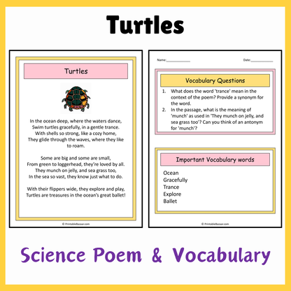 Turtles | Science Poem Reading Comprehension Activity