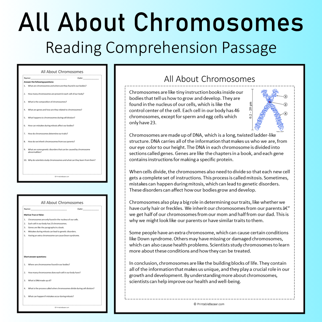 All About Chromosomes | Reading Comprehension Passage Printable Worksheet