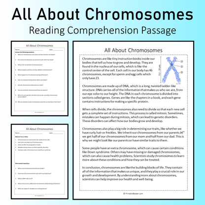 All About Chromosomes | Reading Comprehension Passage Printable Worksheet