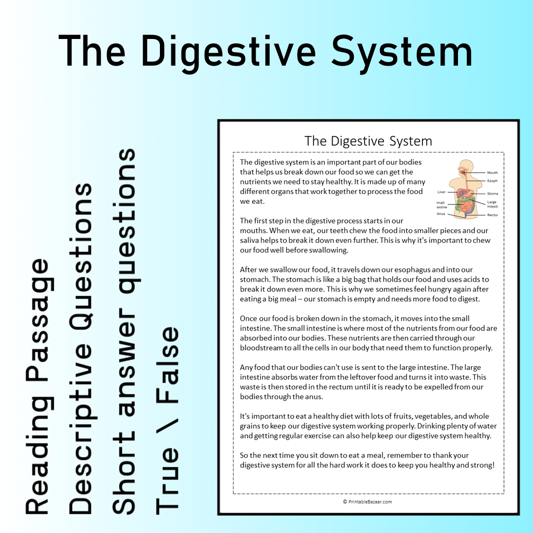 The Digestive System | Reading Comprehension Passage Printable Worksheet