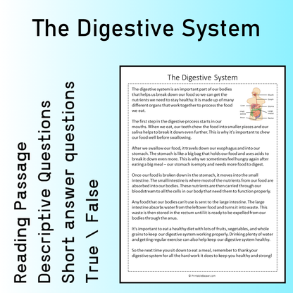 The Digestive System | Reading Comprehension Passage Printable Worksheet