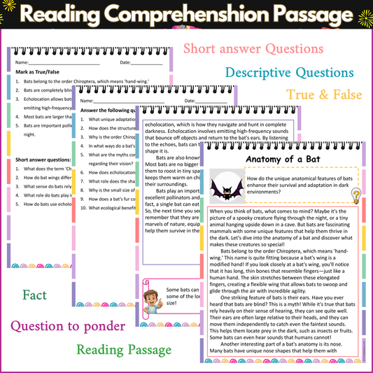 Anatomy of a Bat | Reading Comprehension Passage and Questions