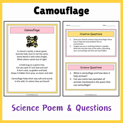 Camouflage | Science Poem Reading Comprehension Activity