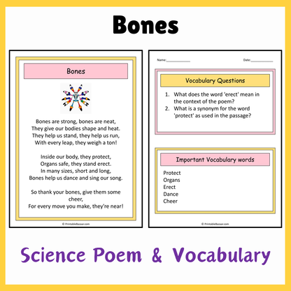 Bones | Science Poem Reading Comprehension Activity