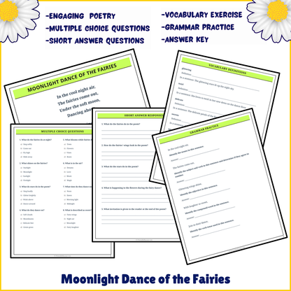 Moonlight Dance of the Fairies | Poem Grammar Worksheet Printable Activity