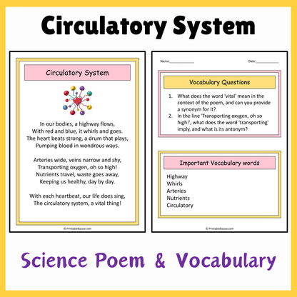 Circulatory System | Science Poem Reading Comprehension Activity