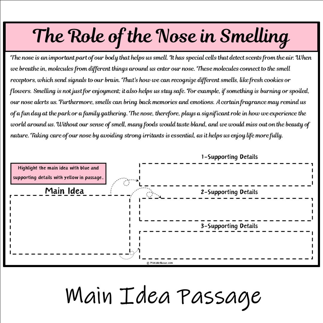 The Role of the Nose in Smelling | Main Idea and Supporting Details Reading Passage and Questions