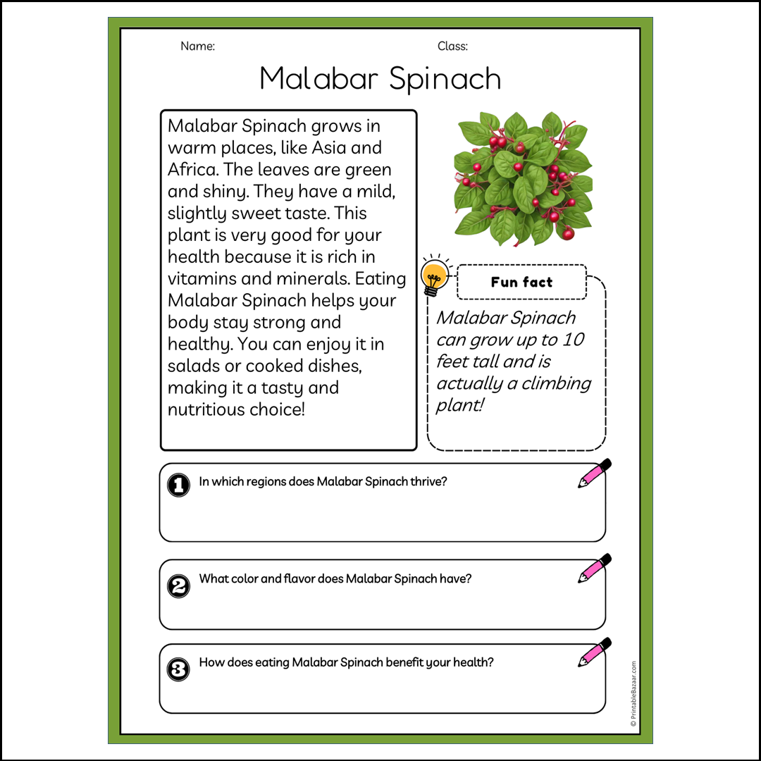 Malabar Spinach | Reading Passage Comprehension Questions Writing Facts Worksheet