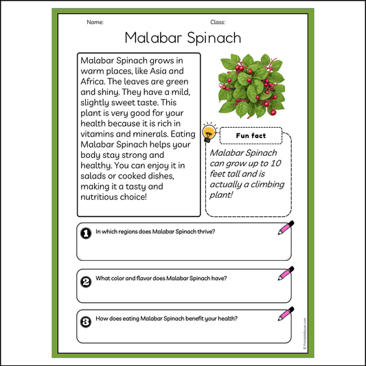 Malabar Spinach | Reading Passage Comprehension Questions Writing Facts Worksheet