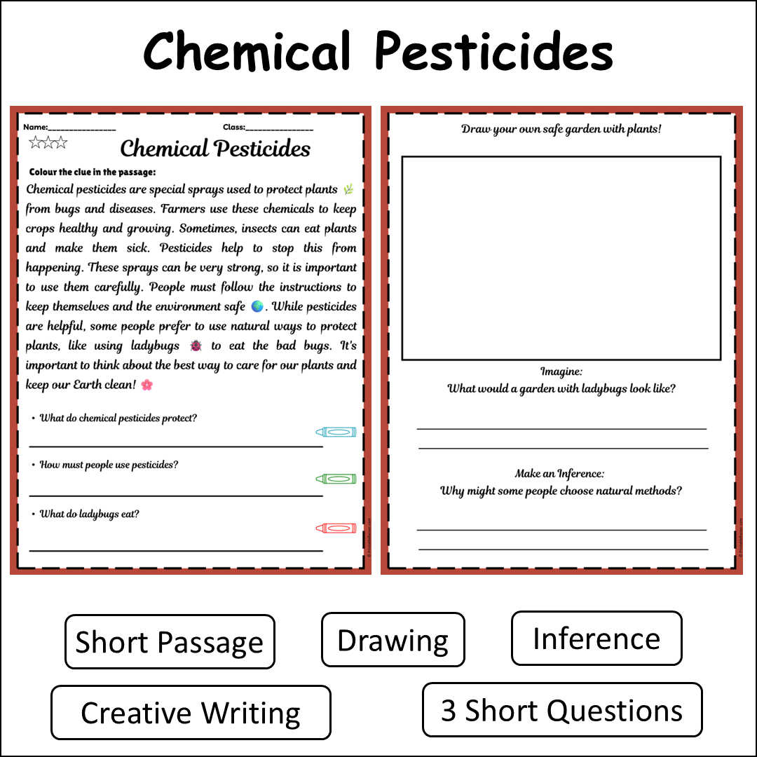 Chemical Pesticides | Short Reading Comprehension Creative Worksheet