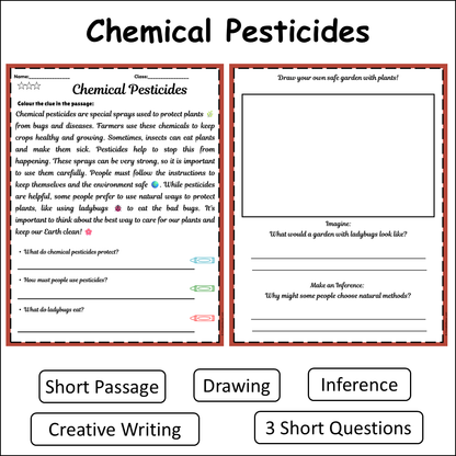 Chemical Pesticides | Short Reading Comprehension Creative Worksheet