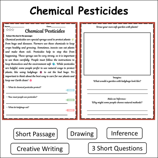 Chemical Pesticides | Short Reading Comprehension Creative Worksheet