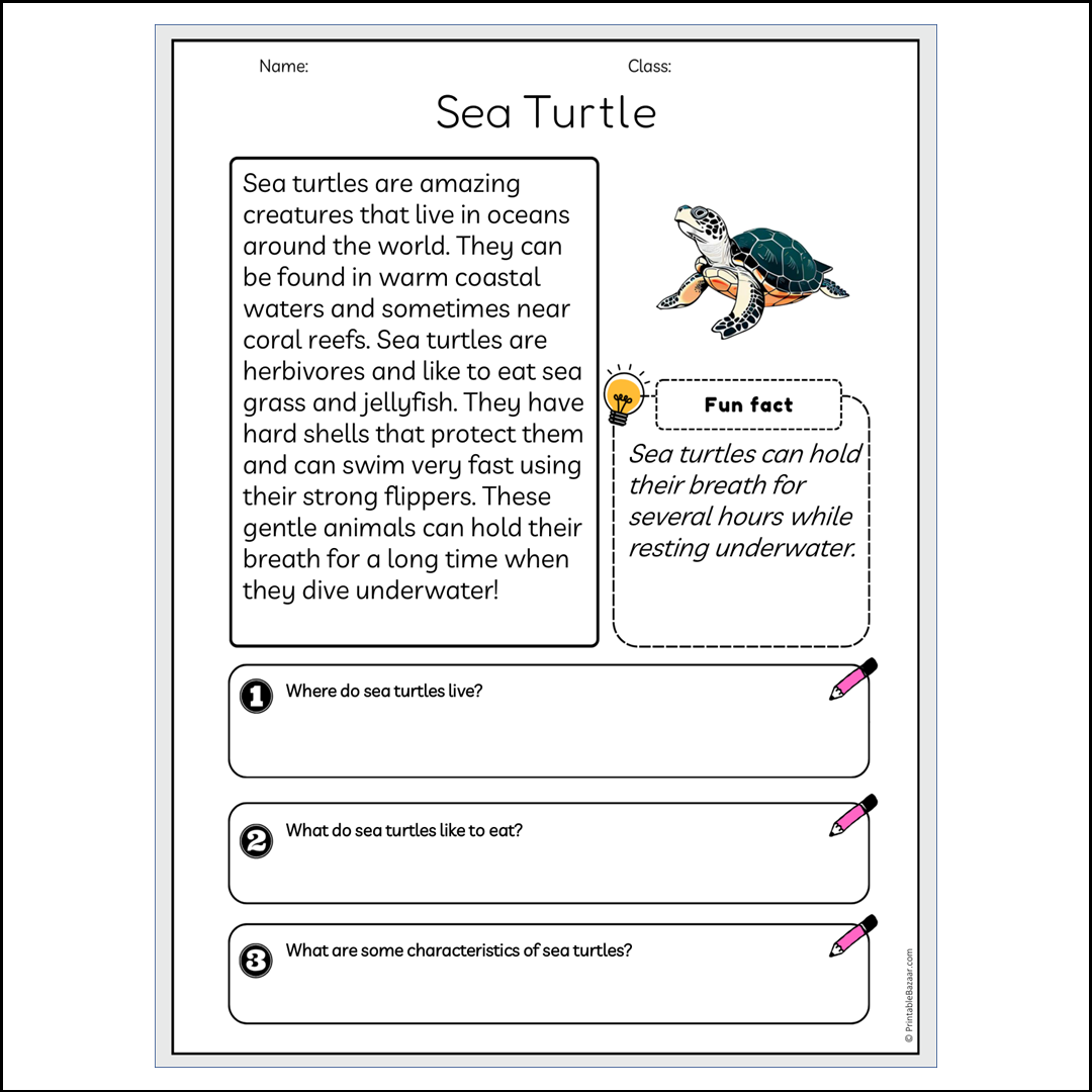 Sea Turtle | Reading Passage Comprehension Questions Writing Facts Worksheet