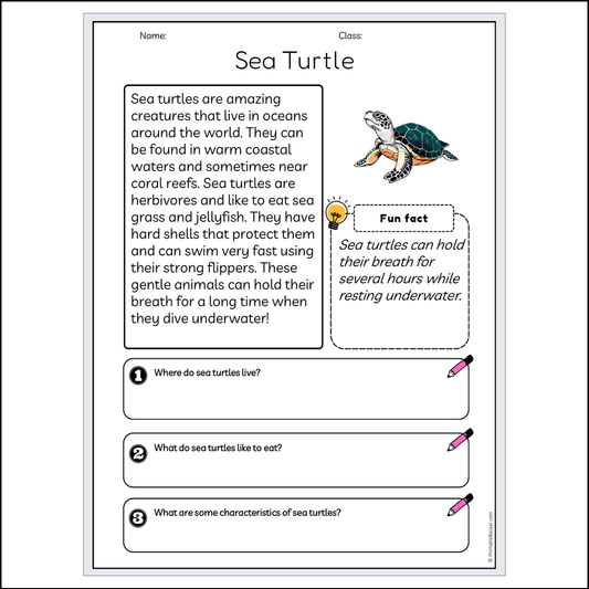 Sea Turtle | Reading Passage Comprehension Questions Writing Facts Worksheet