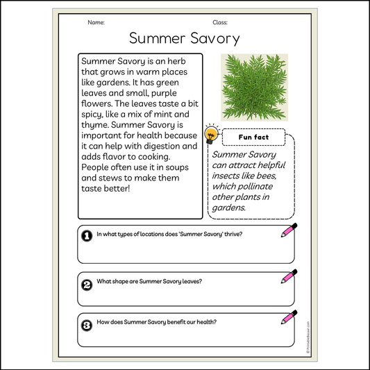 Summer Savory | Reading Passage Comprehension Questions Writing Facts Worksheet