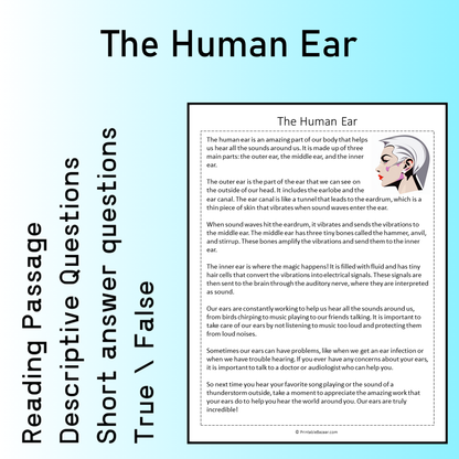 The Human Ear | Reading Comprehension Passage Printable Worksheet