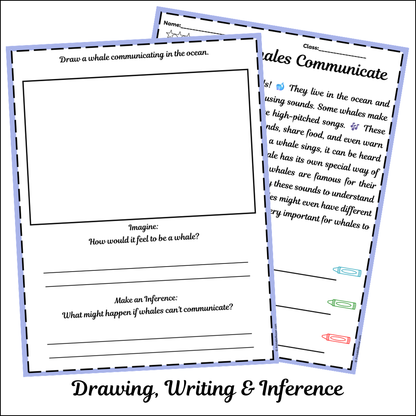 How Whales Communicate | Short Reading Comprehension Creative Worksheet