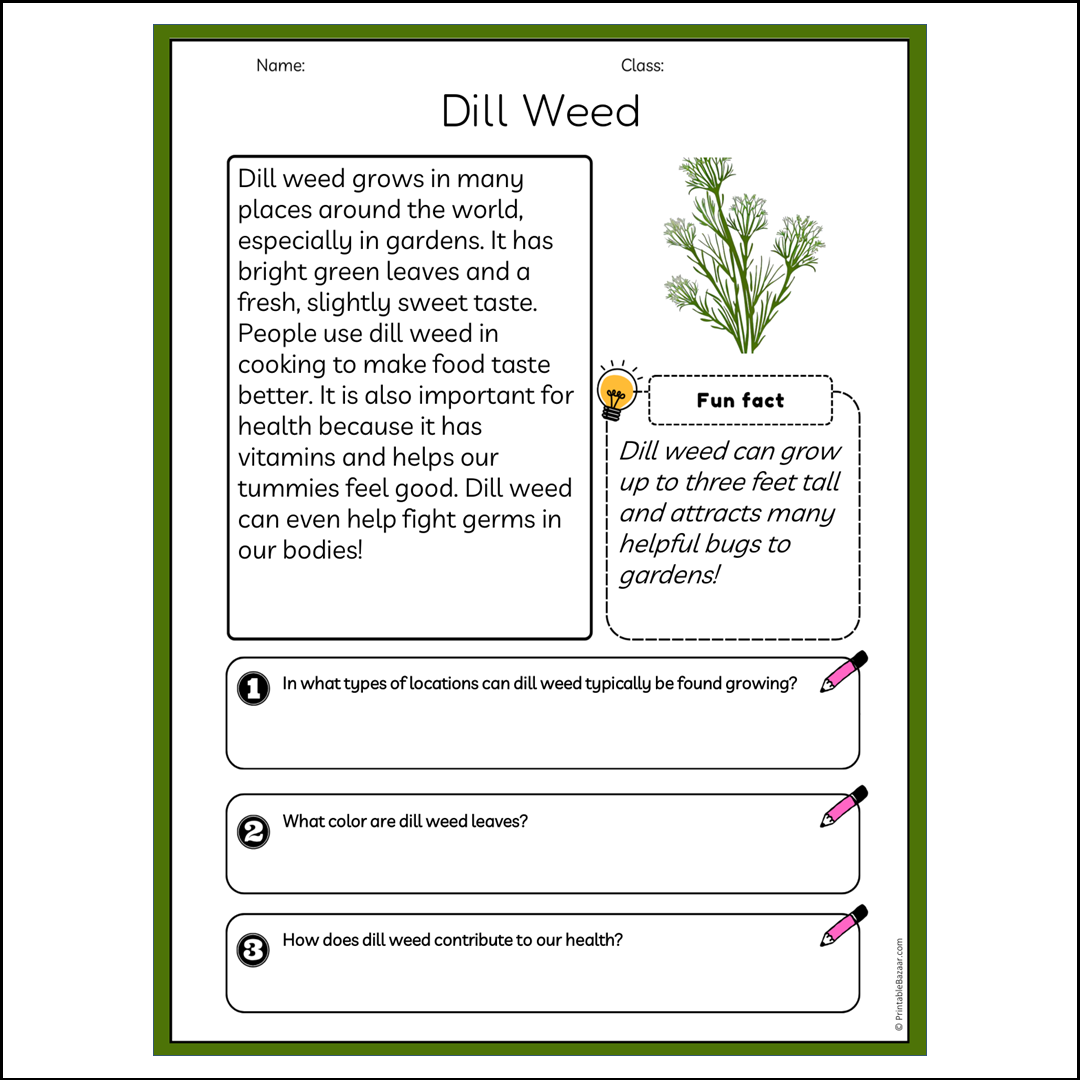 Dill Weed | Reading Passage Comprehension Questions Writing Facts Worksheet