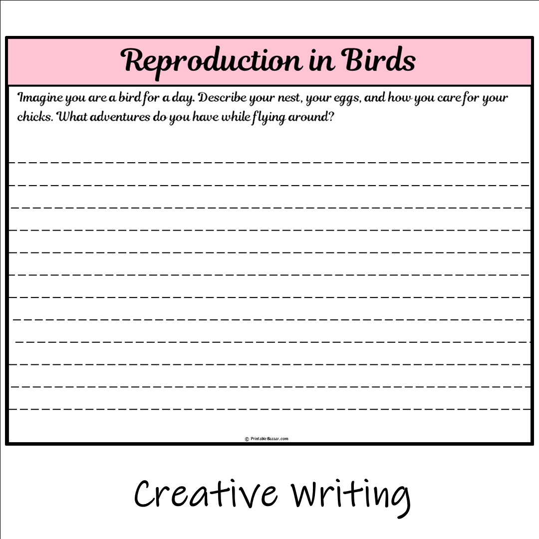 Reproduction in Birds | Main Idea and Supporting Details Reading Passage and Questions