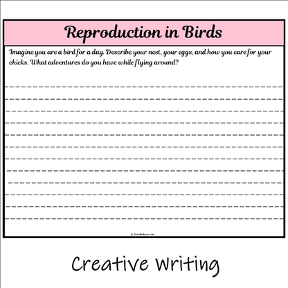 Reproduction in Birds | Main Idea and Supporting Details Reading Passage and Questions