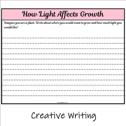 How Light Affects Growth | Main Idea and Supporting Details Reading Passage and Questions