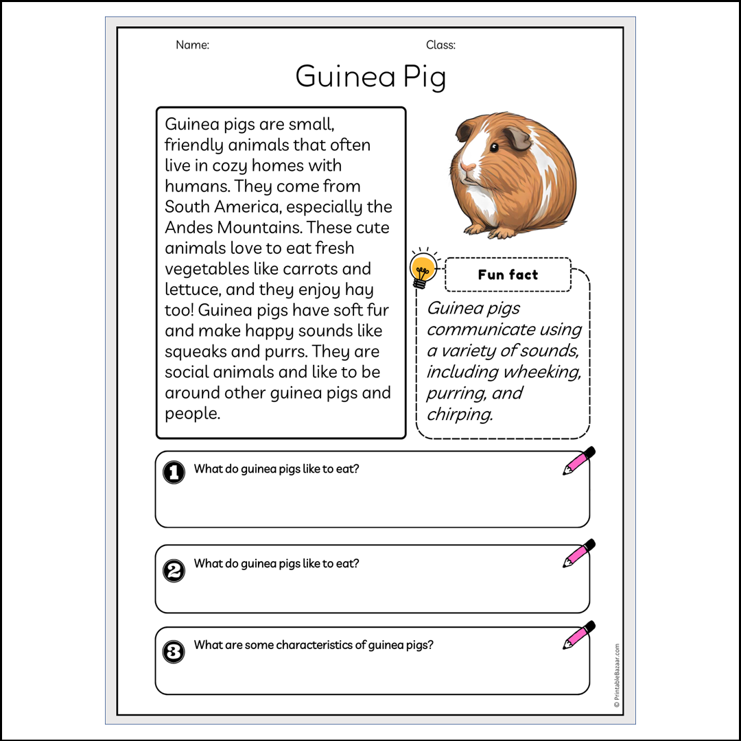 Guinea Pig | Reading Passage Comprehension Questions Writing Facts Worksheet