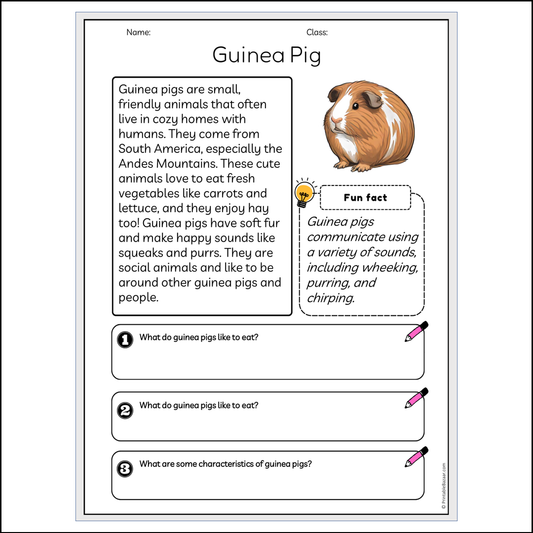 Guinea Pig | Reading Passage Comprehension Questions Writing Facts Worksheet