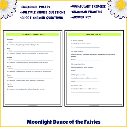 Moonlight Dance of the Fairies | Poem Grammar Worksheet Printable Activity