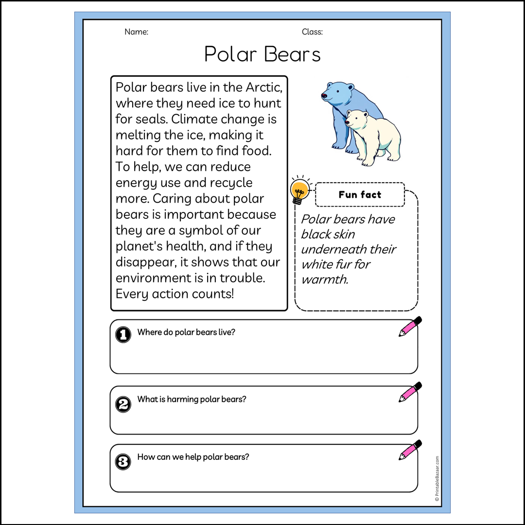 Polar Bears | Reading Passage Comprehension Questions Writing Facts Worksheet