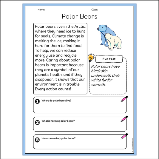 Polar Bears | Reading Passage Comprehension Questions Writing Facts Worksheet