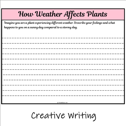 How Weather Affects Plants | Main Idea and Supporting Details Reading Passage and Questions