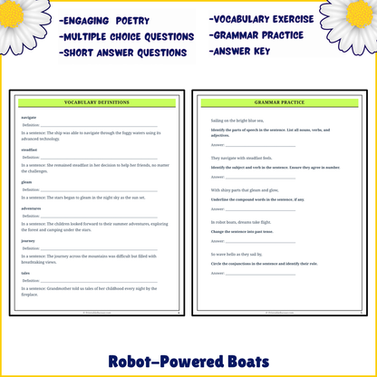 Robot-Powered Boats | Poem Grammar Worksheet Printable Activity