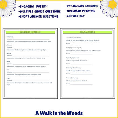 A Walk in the Woods | Poem Grammar Worksheet Printable Activity