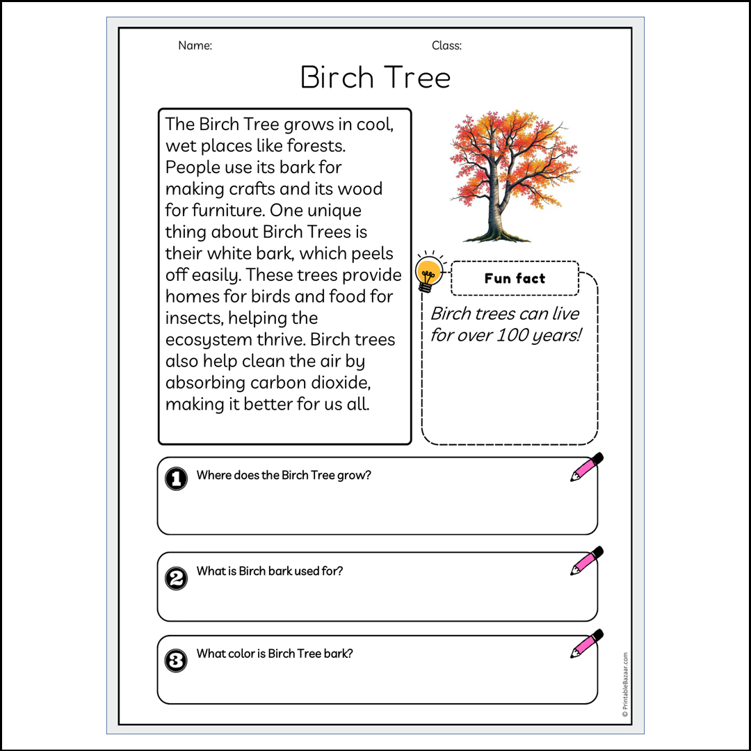 Birch Tree | Reading Passage Comprehension Questions Writing Facts Worksheet