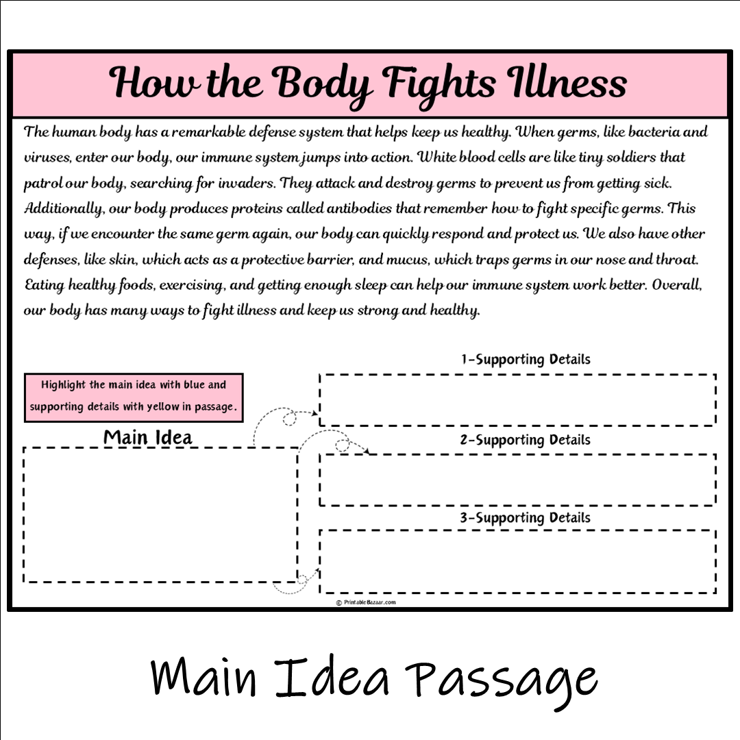 How the Body Fights Illness | Main Idea and Supporting Details Reading Passage and Questions