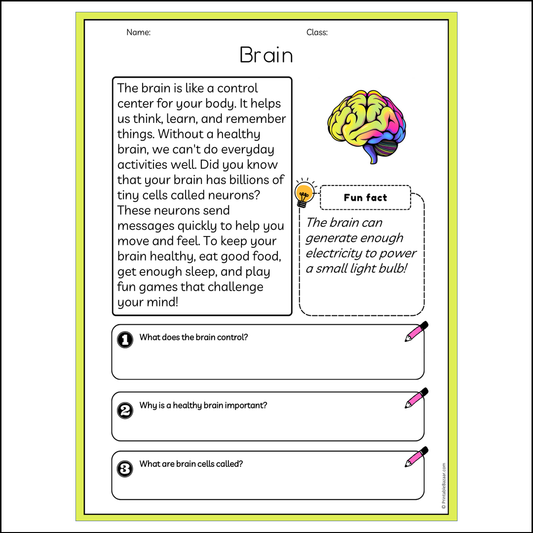 Brain | Reading Passage Comprehension Questions Writing Facts Worksheet