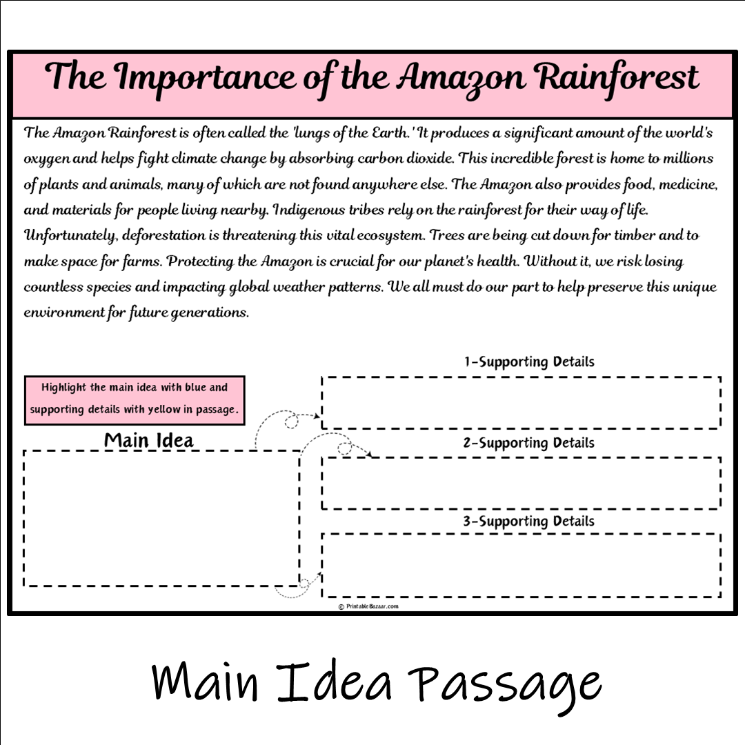 The Importance of the Amazon Rainforest | Main Idea and Supporting Details Reading Passage and Questions