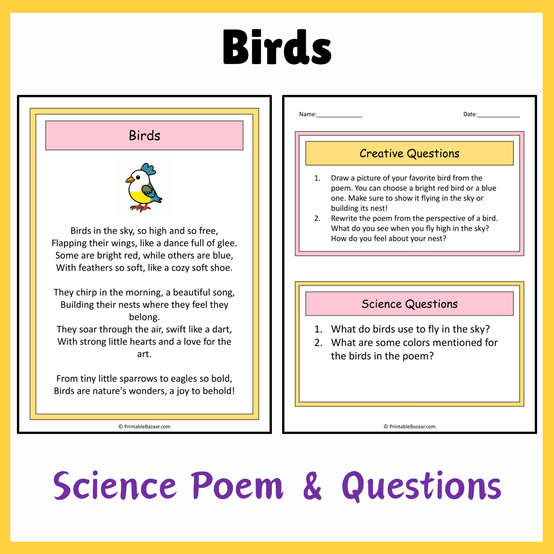 Birds | Science Poem Reading Comprehension Activity