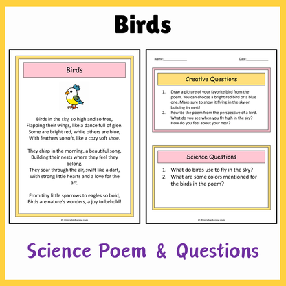 Birds | Science Poem Reading Comprehension Activity