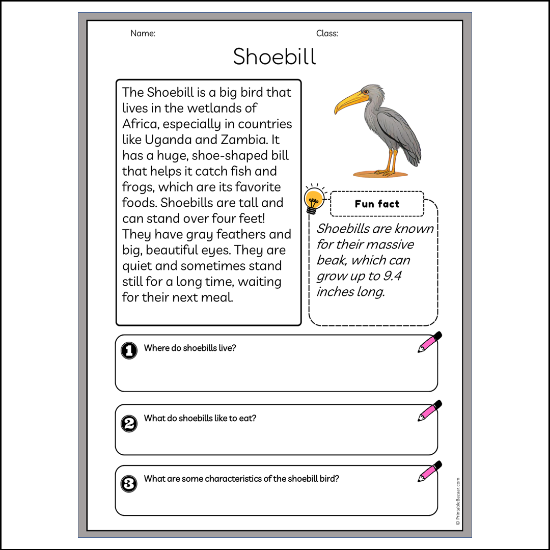 Shoebill | Reading Passage Comprehension Questions Writing Facts Worksheet