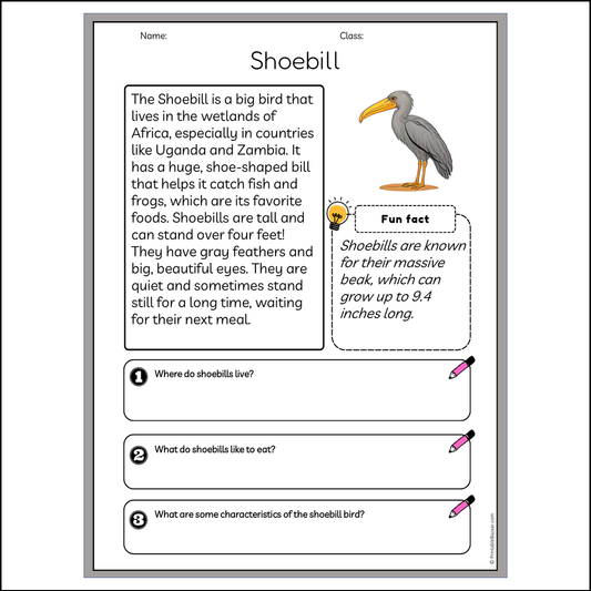 Shoebill | Reading Passage Comprehension Questions Writing Facts Worksheet