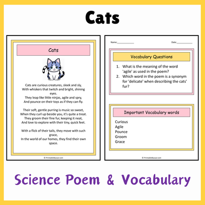 Cats | Science Poem Reading Comprehension Activity