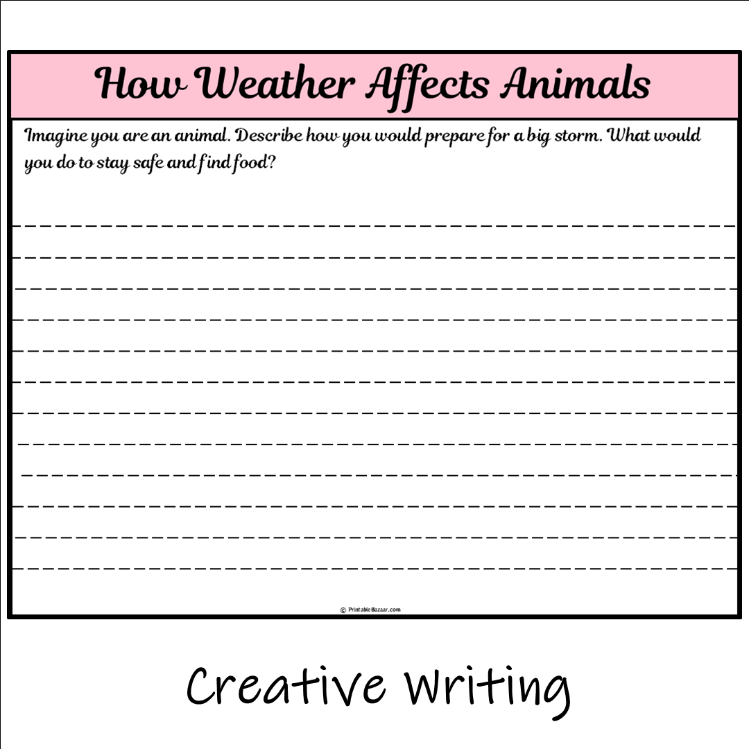 How Weather Affects Animals | Main Idea and Supporting Details Reading Passage and Questions