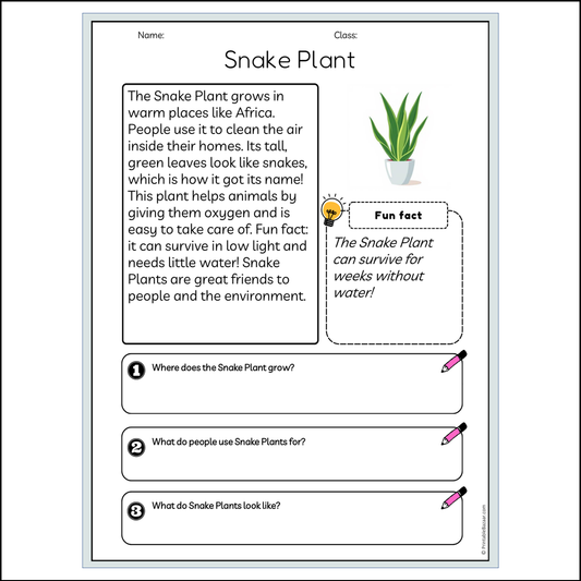 Snake Plant | Reading Passage Comprehension Questions Writing Facts Worksheet