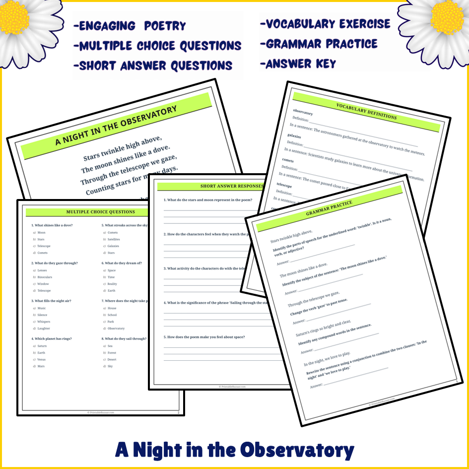 A Night in the Observatory | Poem Grammar Worksheet Printable Activity