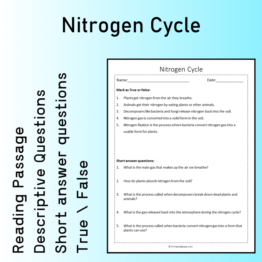 Nitrogen Cycle | Reading Comprehension Passage Printable Worksheet