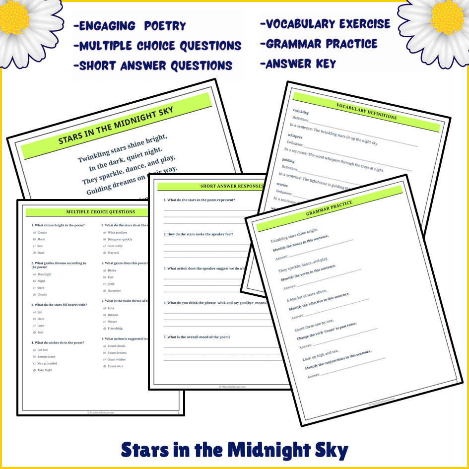 Stars in the Midnight Sky | Poem Grammar Worksheet Printable Activity